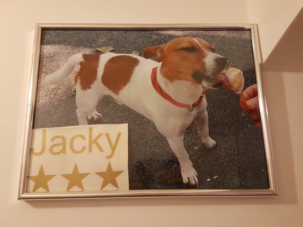Jacky - City Centar 자그레브 외부 사진